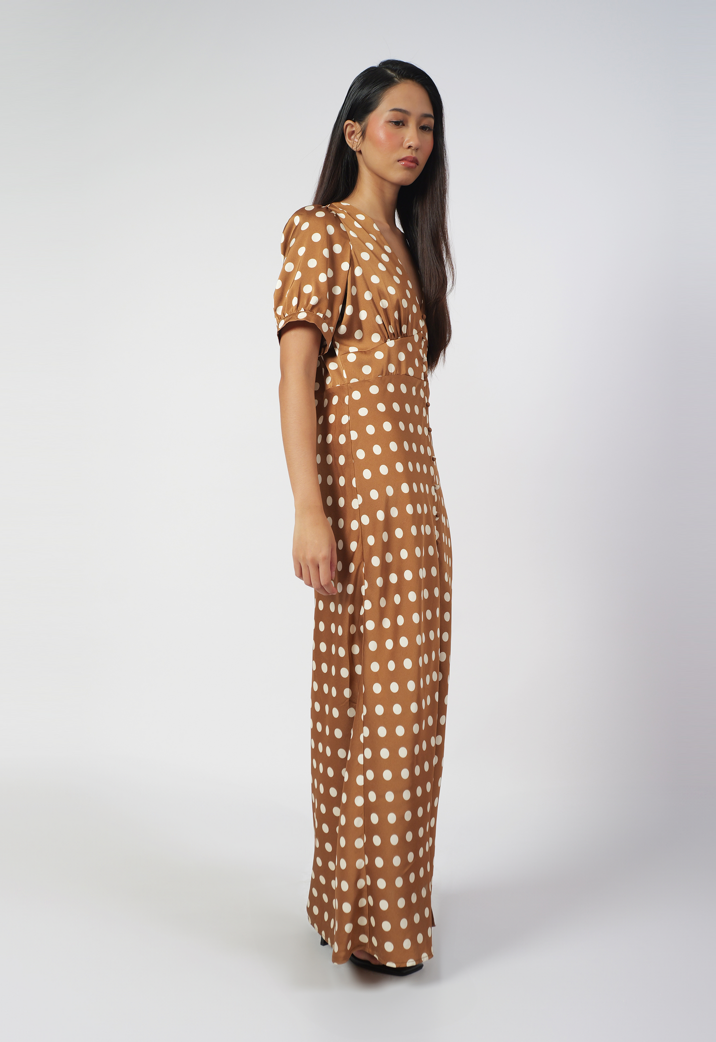 RAF Isabelle Short Sleeve Dress (Polka Brown)