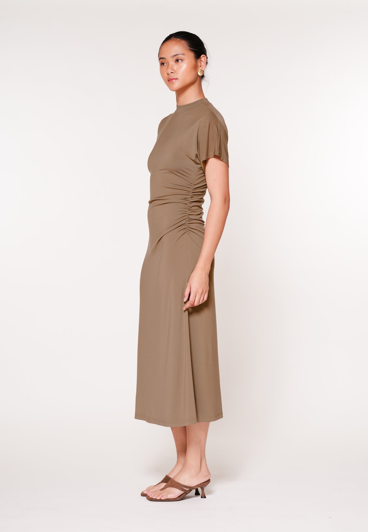 Raf Jaunt Short Sleeve Dress (Taupe)