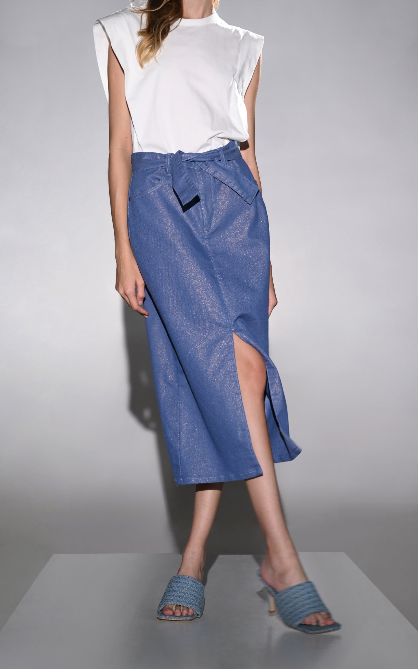 RAF Hender Skirt (Chambray)